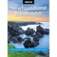Moon Newfoundland & Labrador (Third Edition)
