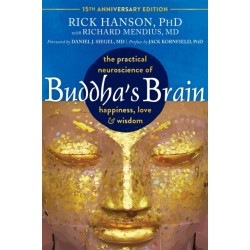 Buddha's Brain: The Practical Neuroscience of Happiness, Love, and Wisdom