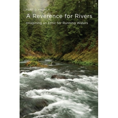 A Reverence for Rivers: Imagining an Ethic for Running Waters