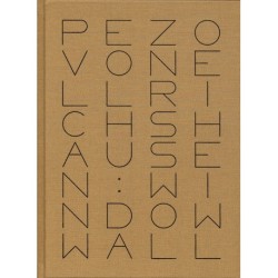 Pezo von Ellrichshausen - Window Wall