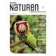 Magasinet Naturen Nr. 2 - 2024