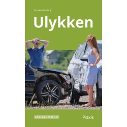Ulykken, Grønt niveau