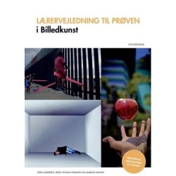 Lærervejledning til prøven i Billedkunst