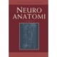 Neuroanatomi