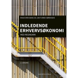 Indledende erhvervsøkonomi: med regneark