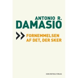 Fornemmelsen af det, der sker