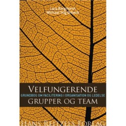 Velfungerende grupper og team: Grundbog om facilitering i organisation og ledelse