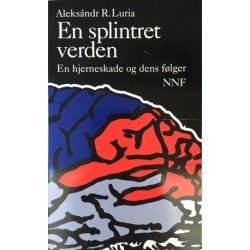 En splintret verden: en hjerneskade og dens følger