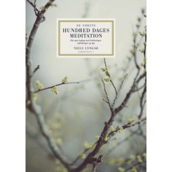 De første hundred dages meditation: Din egen logbog med forklaringer, vejledninger og tips