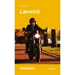 Læretid, Gult niveau