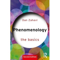 Phenomenology: The Basics