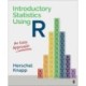 Introductory Statistics Using R: An Easy Approach
