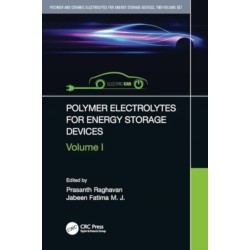 Polymer Electrolytes for Energy Storage Devices