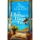 The Boy Who Hugs Trees: A Tale of Love, Loss, and Second Chances in the Sunlit Groves of Corfu
