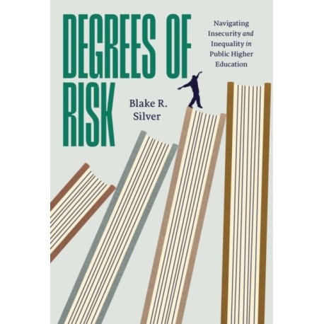Degrees of Risk: Navigating Insecurity and Inequality in Public Higher Education