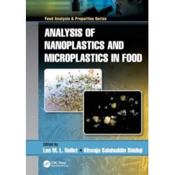 Analysis of Nanoplastics and Microplastics in Food