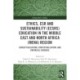 Ethics, CSR and Sustainability (ECSRS) Education in the Middle East and North Africa (MENA) Region: Conceptualization, Contextualization, and Empirical Evidence