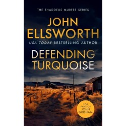 Defending Turquoise: A page-turning legal thriller