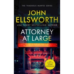 Attorney at Large: a page-turning legal thriller with twists you won't see coming.