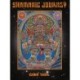 Shamanic Journey: Art of Chris Dyer, The