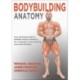 Bodybuilding Anatomy
