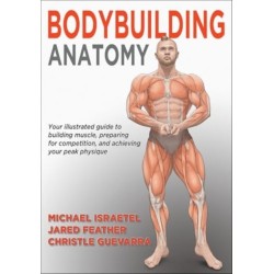 Bodybuilding Anatomy