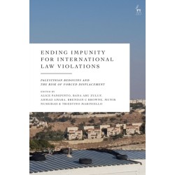 Ending Impunity for International Law Violations: Palestinian Bedouins and the Risk of Forced Displacement