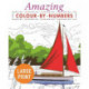 Amazing Colour by Numbers Large Print