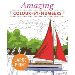 Amazing Colour by Numbers Large Print