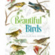 Beautiful Birds Colouring Book