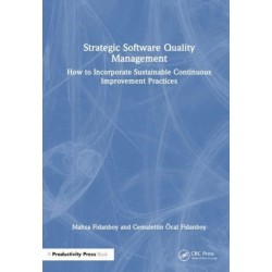 Strategic Software Quality Management: How to Incorporate Sustainable Continuous Improvement Practices