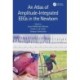An Atlas of Amplitude-Integrated EEGs in the Newborn