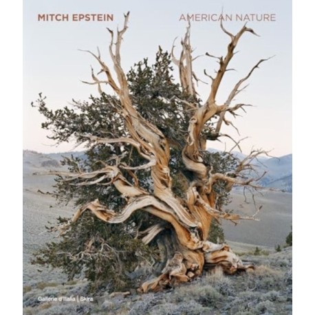 Mitch Epstein: American Nature