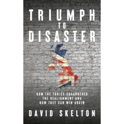 Triumph to Disaster: How the Tories squandered the Realignment and how they can win again