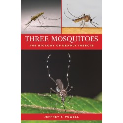 Three Mosquitoes: The Biology of Deadly Insects