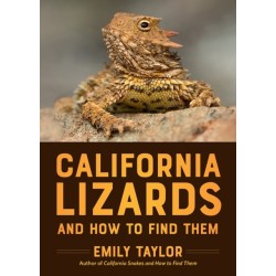 California Lizards and How to Find Them