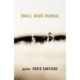 Small Wars Manual: Poems