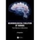 Neurobiological Evolution of Humans: From Neurons to Narratives