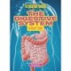 The Digestive System: An Owner's Guide