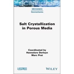 Salt Crystallization in Porous Media