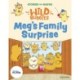 Stories for Maths: EYFS: Meg's Family Surprise (Building 9 and 10)