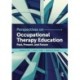 Perspectives on Occupational Therapy Education: Past, Present, and Future
