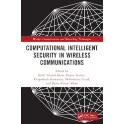 Computational Intelligent Security in Wireless Communications
