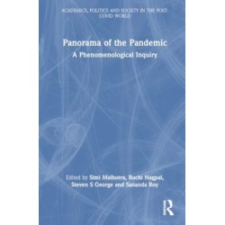 Panorama of the Pandemic: A Phenomenological Inquiry