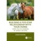 Building a Five-Star Relationship with Your Horse: Using the Five Domains of Animal Welfare