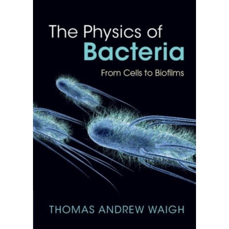 The Physics of Bacteria: From Cells to Biofilms