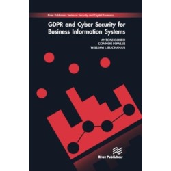 GDPR and Cyber Security for Business Information Systems