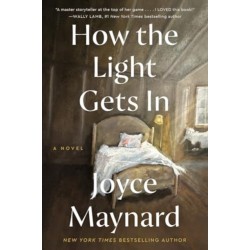 The How the Light Gets In: A Novel