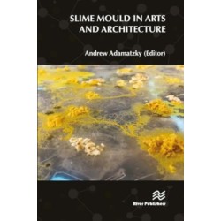 Slime Mould in Arts and Architecture