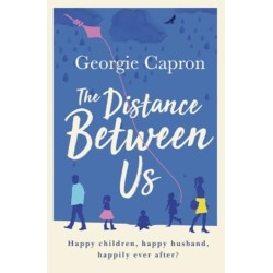 The Distance Between Us: What happens to a marriage once children and life take over...